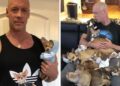 Man Who Used To Make Fun Of Tiny Dogs Was Saved By A Chihuahua, Now He Dedicates His Life To Rescuing Them